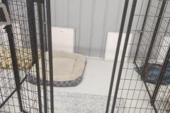 image000003