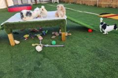 image000005